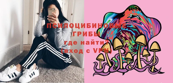 а пвп мука Алзамай