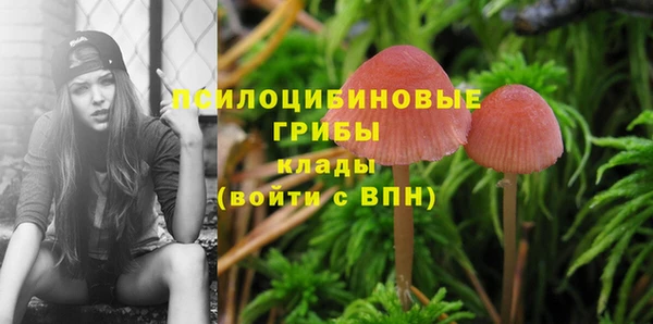 а пвп мука Алзамай
