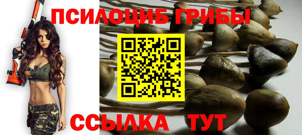 Жуковский  Галлюциногенные грибы MAGIC MUSHROOMS  наркошоп  Вход с VPN  Галлюциногенные грибы ЛСД 